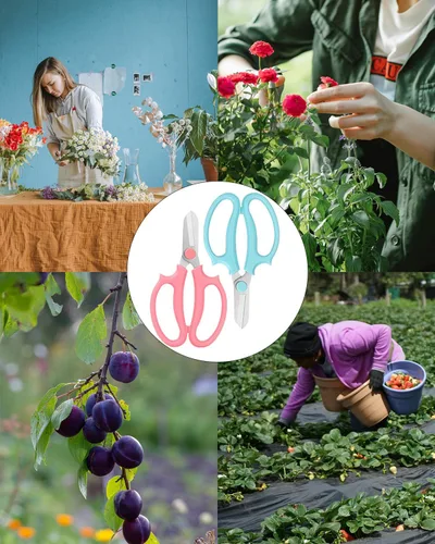 Vista 6 de Tijeras de flores – Tijeras florales de acero inoxidable, cortadores de floristería para tallos, tijeras de plantas de jardín para flores frescas