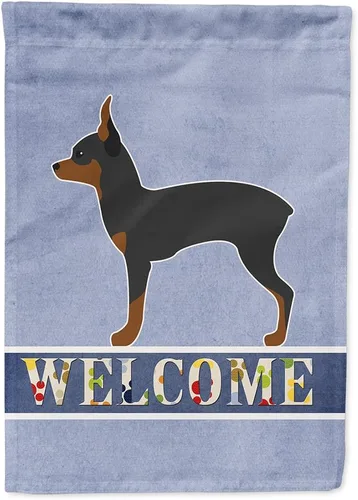 Vista 107 de Caroline's Treasures BB5552GF Affenpinscher Bandera de bienvenida para jardín, bandera decorativa para patio exterior, patio, parterres