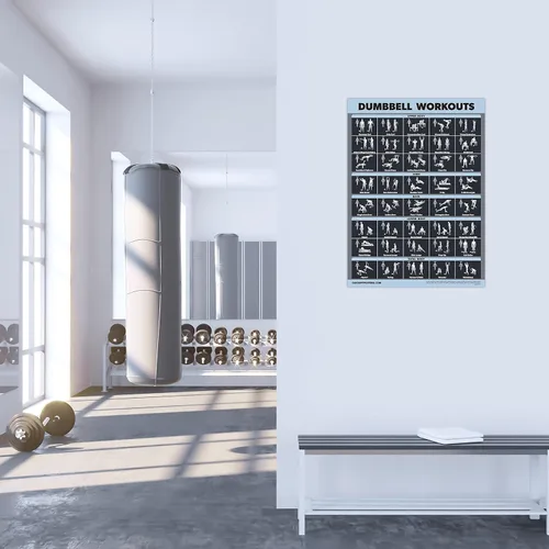 Vista 7 de Palace Learning Juego de 2 pósteres de ejercicios con mancuernas y barra laminada, juego de 2 cuadros laminados, rutina de ejercicio con mancuernas