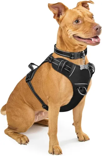 Vista 31 de Arnés para perro sin tirones, arneses para mascotas con collar, chaleco Oxford reflectante y ajustable, hebillas delanteras y traseras para correa