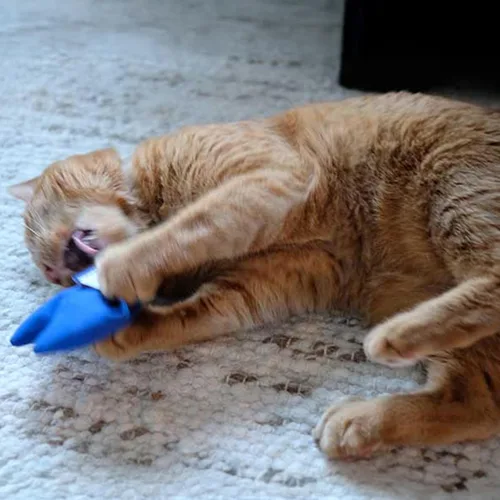Vista 2 de Americat Company Paquete de 2 juguetes de hierba gatera hechos en Estados Unidos, juguetes de peluche para gatos y corazones rellenos de hierba