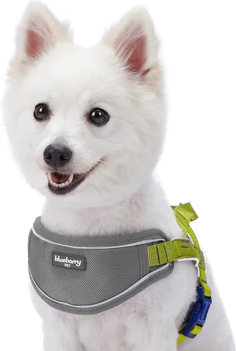 Vista 7 de Blueberry Pet Arnés morado para perro, tamaño mediano, arnés para perros pequeños, arnés para cachorros, chaleco de nailon reflectante, ajustable