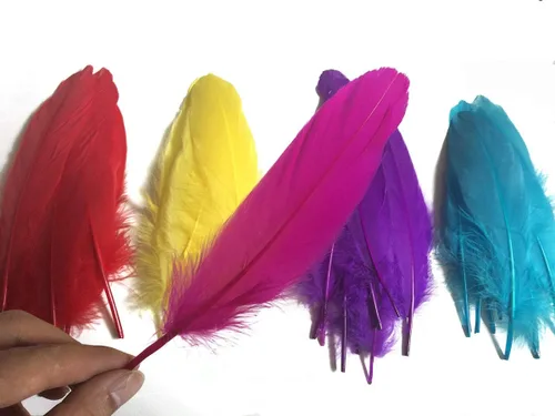 Vista 2 de Plumas de ganso de colores, paquete de 100 unidades de 10