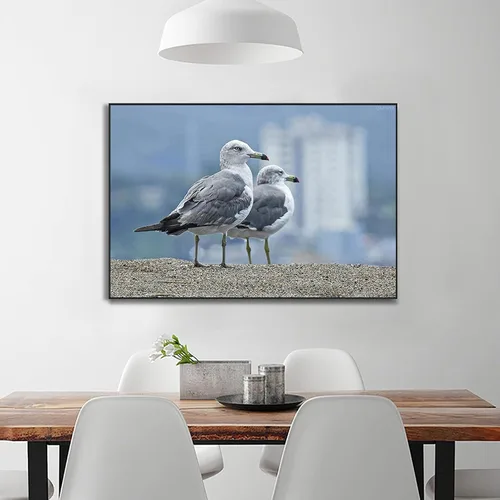 Vista 3 de QAZWSX Gaviota Birds - Kit de pintura de diamante 5D para adultos y niños, pintura de diamante para decoración de pared del hogar, 11.8 x 15.7 in