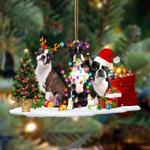 Vista 42 de Nazenti Adorno de Navidad personalizado con amigos Affenpinscher – Adorno de perro personalizado para amantes de las mascotas, acrílico plano