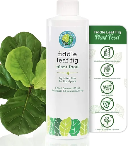 Vista 4 de Fiddle Leaf Fig Plant Food – Fertilizante líquido equilibrado NPK 3-1-2 para hojas más grandes, raíces más fuertes y crecimiento constante
