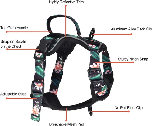 Vista 2 de Petmolico Arnés para perros pequeños, bonito arnés con dos clips para correa y mango suave, chaleco reflectante para cachorros fácil de caminar