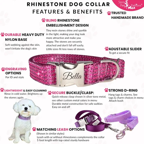 Vista 4 de Collar de perro con diamantes de imitación brillantes, hebilla grabada y opciones de correa, hecho a mano en Estados Unidos, collares de perro
