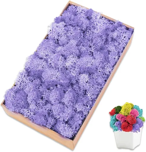 Vista 9 de Musgo de reno azul de 3.5 onzas, musgo preservado para plantas, decoración de musgo, musgo verde para manualidades, musgo para plantas en maceta