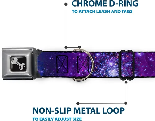 Vista 5 de Buckle-Down Collar de perro con hebilla de cinturón de seguridad, color azul galaxia/morado, 1 pulgada de ancho, se adapta a cuello de 9 a 15