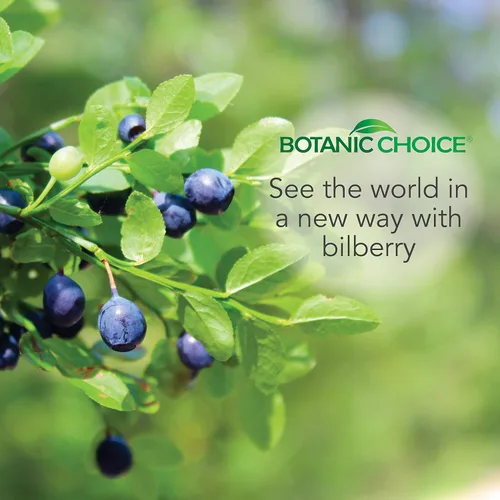 Vista 7 de Botanic Choice Extracto líquido sin alcohol de arándano, 1 onza líquida