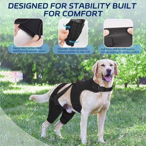 Vista 6 de Dog Knee Brace with Metal Stabilizers for Torn ACL Hind Leg, XS
