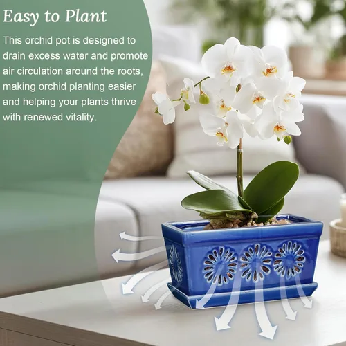 Vista 5 de EFISPSS Maceta de orquídea de 10 pulgadas, macetas de cerámica para orquídeas con agujeros, macetas de interior con drenaje y platillo, macetas