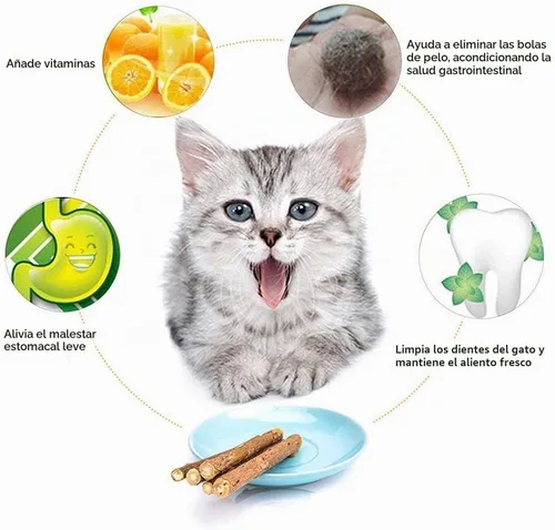 Vista 2 de WoLover 10 palitos de Matatabi, juguetes masticables Silvervine para gatos Palitos de hierba gatera natural, limpieza de dientes molar masticar