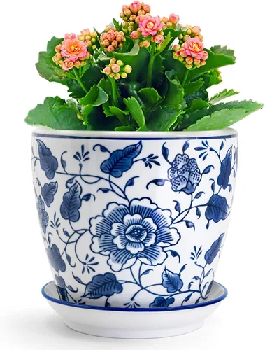Vista 8 de HakkaGirl Chinese - Pequeña maceta de porcelana azul y blanca.