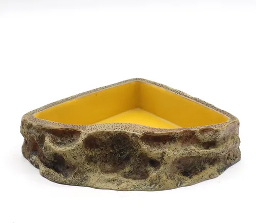 Vista 7 de Comedero de reptiles Tazón de resina para anfibios para lagarto Gecko tortuga dragón barbudo