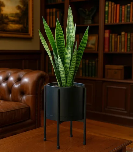 Vista 6 de D'vine Dev Maceta negra de 8 pulgadas con soporte, moderna maceta cilíndrica de plástico con soporte de metal resistente para plantas