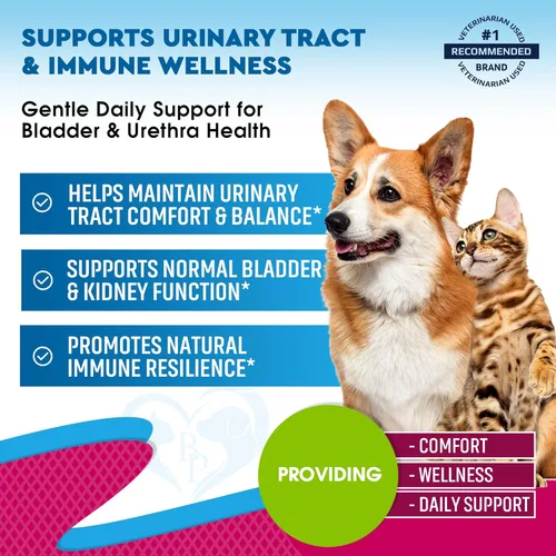 Vista 2 de Tratamiento de Infección del Tracto Urinario para Gatos y Perros y Medicina Natural para UTI con Arándano y D-Manosa - Soporte para Riñón + Vejiga