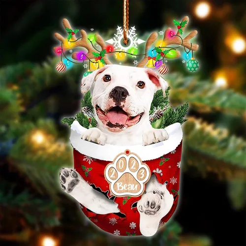 Vista 110 de NAZENTI Adorno Navideño de Bolsillo Personalizado de Affenpinscher en la Nieve, Adorno de Forma Acrílica de Perro, Adorno de Navidad 2023, Adorno