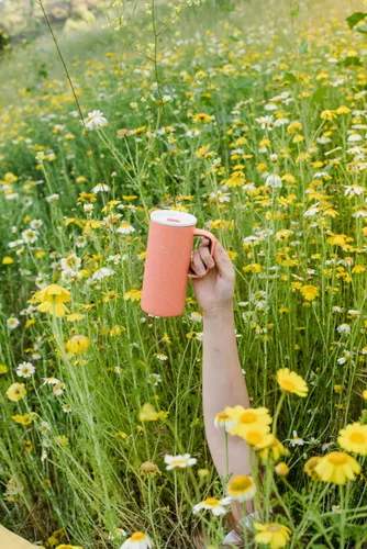 Vista 6 de Ello Campy - Taza de viaje aislada al vacío con tapa deslizante a prueba de fugas y asa de transporte cómoda, perfecta para café o té, sin BPA