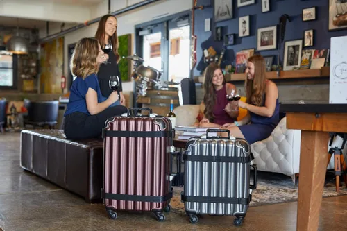 Vista 8 de VinGardeValise Maleta de viaje para vino, hasta 12 botellas (plata) con placa de identificación personalizada para equipaje