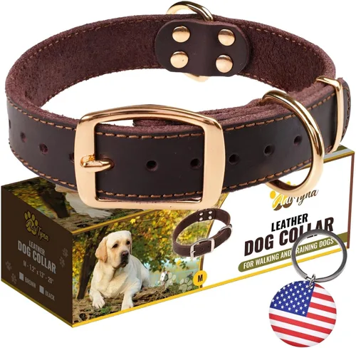 Vista 21 de Collar de perro de cuero negro resistente, collar de perro suave y fuerte para cachorros o razas pequeñas