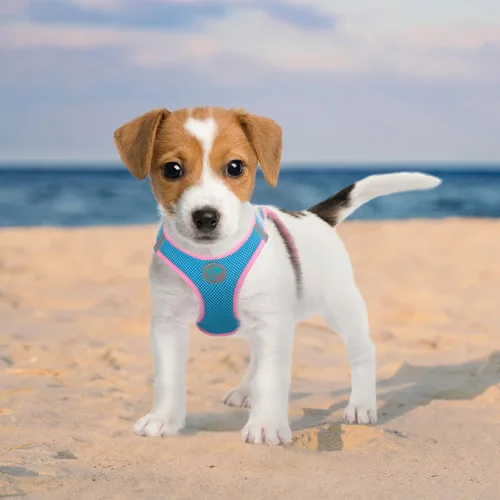 Vista 3 de PHOEPET Arnés para perro, arnés reflectante ajustable para perro, chaqueta suave para caminar para mascotas con 2 ganchos de metal para correa