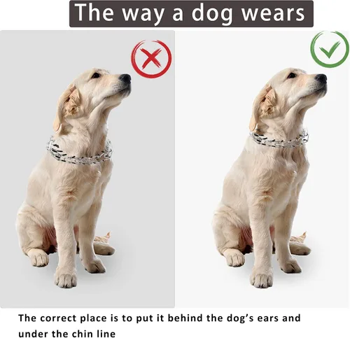Vista 4 de Collar de punta para perro, collar de estrangulador para perros, collar de entrenamiento de pellizcos, collar de estrangulador ajustable desmontable