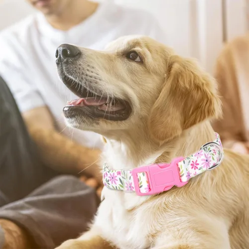 Vista 2 de Collar ajustable para perro con hebilla de seguridad de liberación rápida, collares de nailon suave para mascotas pequeñas, medianas y grandes