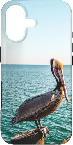 Vista 32 de iPhone 11 Pelican Case