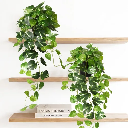 Vista 9 de CEWOR Plantas Artificiales Pothos Falso con Maceta de Plástico Planta Artificial en Maceta para Hogar Oficina Dormitorio Decoración Interior y Verde