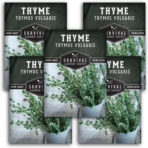 Vista 12 de Semillas de tomillo para plantar en interiores o exteriores, semillas de tomillo inglés (Thymus Vulgaris) para jardines de hierbas del hogar
