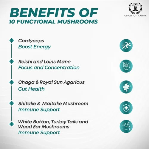 Vista 3 de Suplemento complejo de hongos potenciador cerebral, estimulador natural del estado de ánimo con hongos de 10 funciones, melena de león, reishi