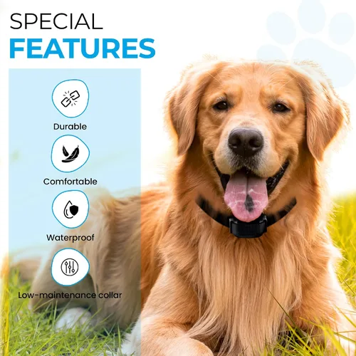 Vista 3 de eCollar Correa de repuesto estilo bungee – Collar de poliuretano impermeable compatible con Garmin, Dogtra, SportDOG, Educator