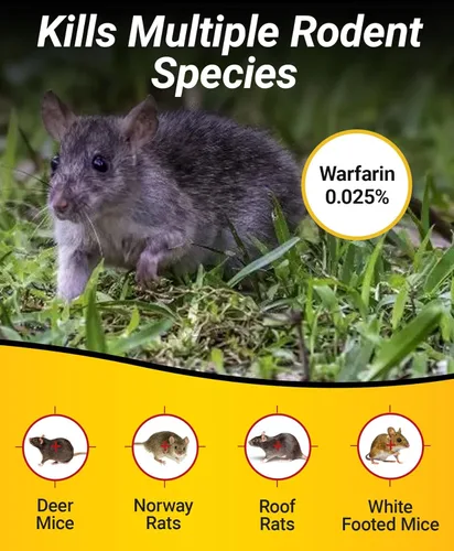 Vista 4 de Kaput Bloques para Ratones, Cebo para Roedores para Ratones y Ratas, Veneno para Topos Warfarina para Uso en Interiores/Perímetro, Mata Roedores