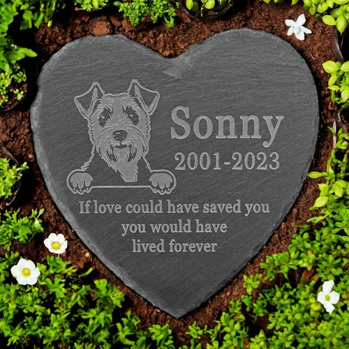 Vista 18 de Memorial personalizado de American Staffordshire Terrier, lápida de American Staffordshire Terrier, condolencias por pérdida de American