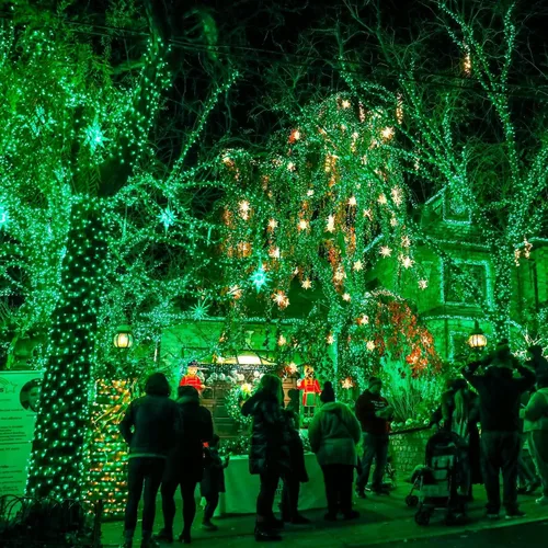 Vista 4 de TW SHINE Luces de Navidad verdes, 200 luces LED de Navidad para exteriores de 66 pies enchufables con 8 modos, cable verde impermeable, luz del día