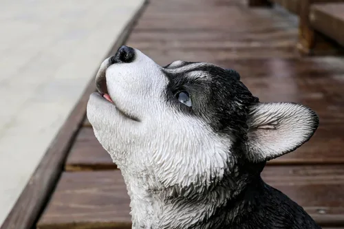 Vista 6 de Husky Siberiano Cachorro Aullando