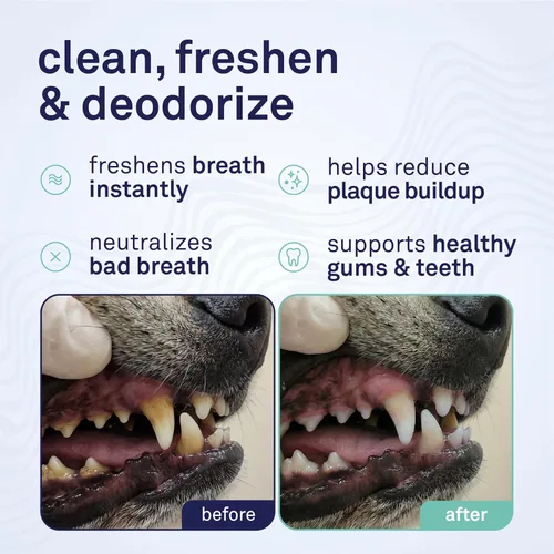 Vista 2 de Petpost Fresh Breath Foam for Dogs - Solución dental con sabor a menta y manzana que elimina el mal aliento - Tratamiento de limpieza dental