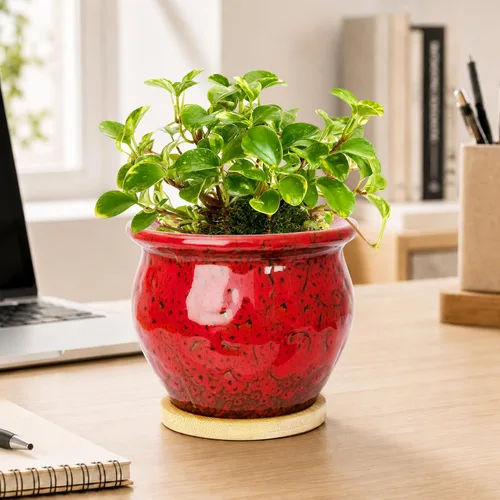 Vista 4 de ARTKETTY Macetas de 4.5 pulgadas con drenaje, pequeñas macetas de cerámica para plantas de interior Rojo