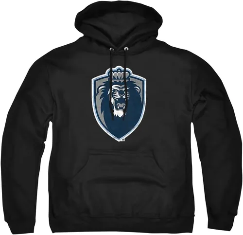 Vista 83 de Distressed College Primary Logo Adult Pullover Hoodie Collection 1 Universidad Estatal de Albany