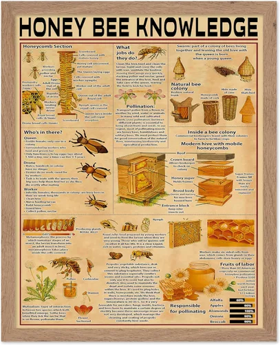 Vista 74 de Poster Master Póster de conocimiento de preparación de café, impresión de preparación de café, ilustración de alimentos y bebidas, impresión