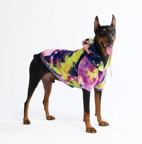 Vista 107 de Spark Paws Sudadera con capucha para perro, suéter de primera calidad para perros pequeños, medianos y grandes Trajes cálidos para bulldogs