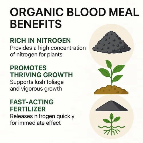 Vista 2 de 𝐁𝐄𝐒𝐓𝐒𝐄𝐋𝐋𝐄𝐑 Fertilizante de sangre orgánica de Gardenera - 12-0-0 NPK - Fuente de alimento vegetal natural para jardinería orgánica, flores, COMIDA