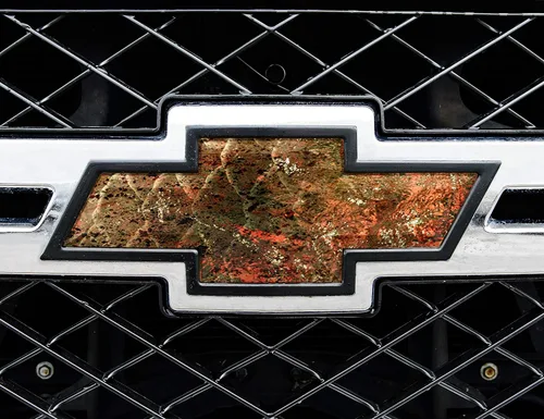 Vista 16 de Mossy Oak Graphics 14010-BI Break-Up Infinity Piel de emblema de auto, Blaze