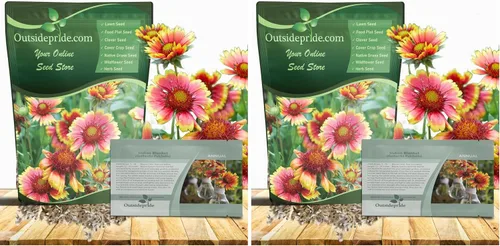 Vista 8 de Outsidepride Gaillardia Pulchella - Semillas de manta india roja para plantar, semillas de flores anuales de 1/4 libras, tolerantes al calor