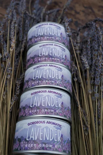 Vista 4 de Lavanda Kit de cultivo de semillas de flores The Jonsteen Company