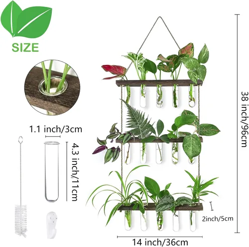 Vista 2 de Estación de propagación, terrario de plantas, regalos para amantes de las plantas para mujeres, soporte para cortar plantas, decoración del hogar