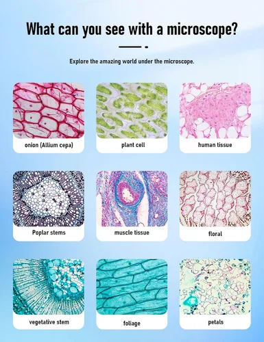 Vista 8 de Microscopio compuesto binocular 40X-2000X, microscopio profesional de grado de investigación con platinas mecánicas duales y perillas coaxiales