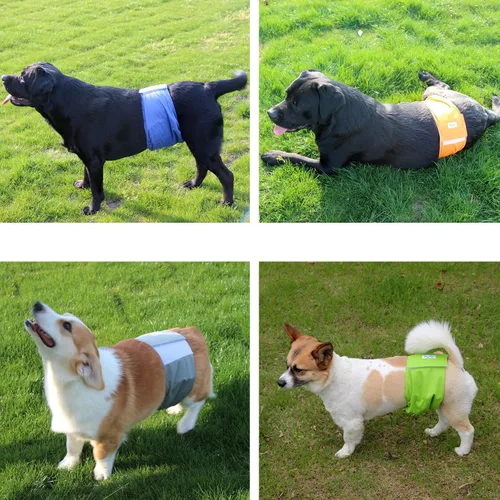 Vista 2 de JoyDaog - Pañales reutilizables para cachorros varones, paquete de 5, lavables, bandas reutilizables para el vientre, para perros